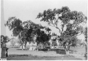 Workers camp near Beltana 1885. 